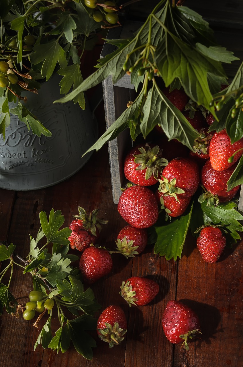 Confiture de Fraises Sans Sucre 1